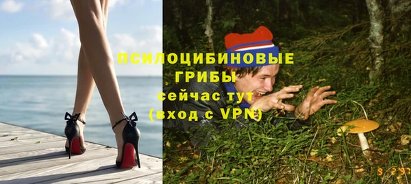 ПСИЛОЦИБИНОВЫЕ ГРИБЫ Краснотурьинск