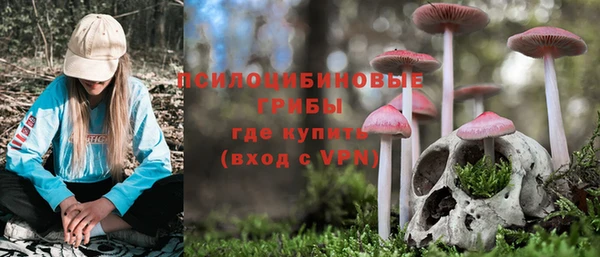 ECSTASY Коряжма