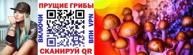 купить закладку  hydra вход  Псилоцибиновые грибы Psilocybe  Энгельс 