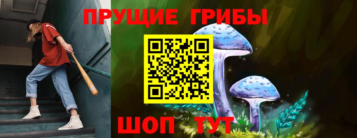Галлюциногенные грибы Cubensis  Вход с VPN  Энгельс 