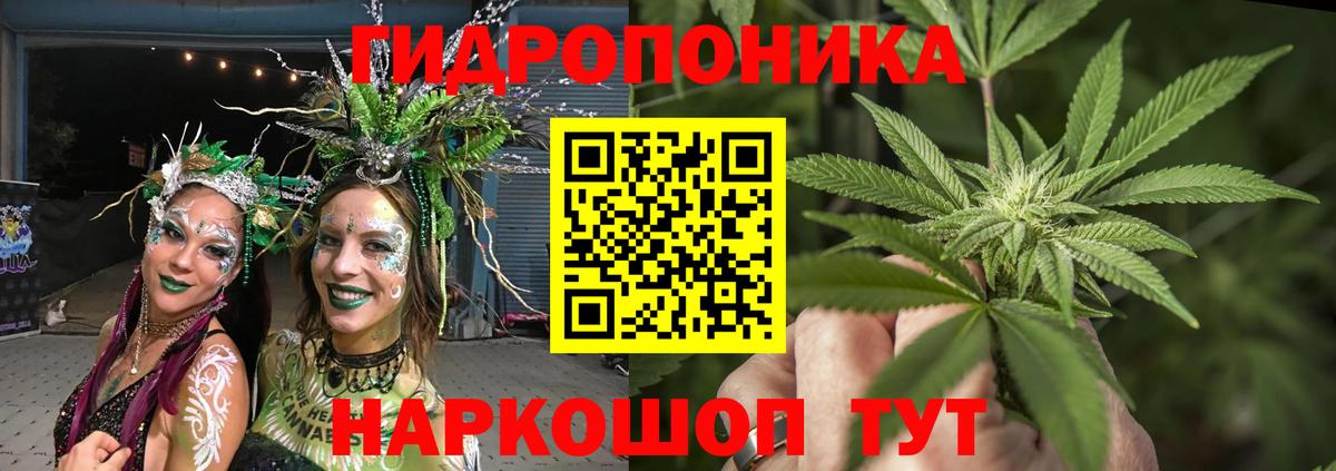 Конопля сатива  Каннабис семена  Энгельс  Вход с VPN 